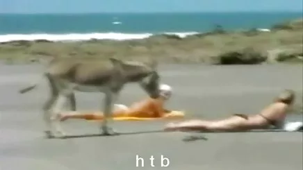 Thiếu niên bên âm hộ ăn uống búp bê kịch phim sech jav âm hộ của cô